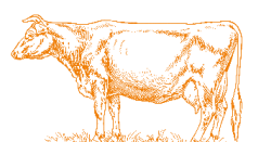 Vache Musée du Pays-d'Enhaut & Centre Suisse du Papier Découpé